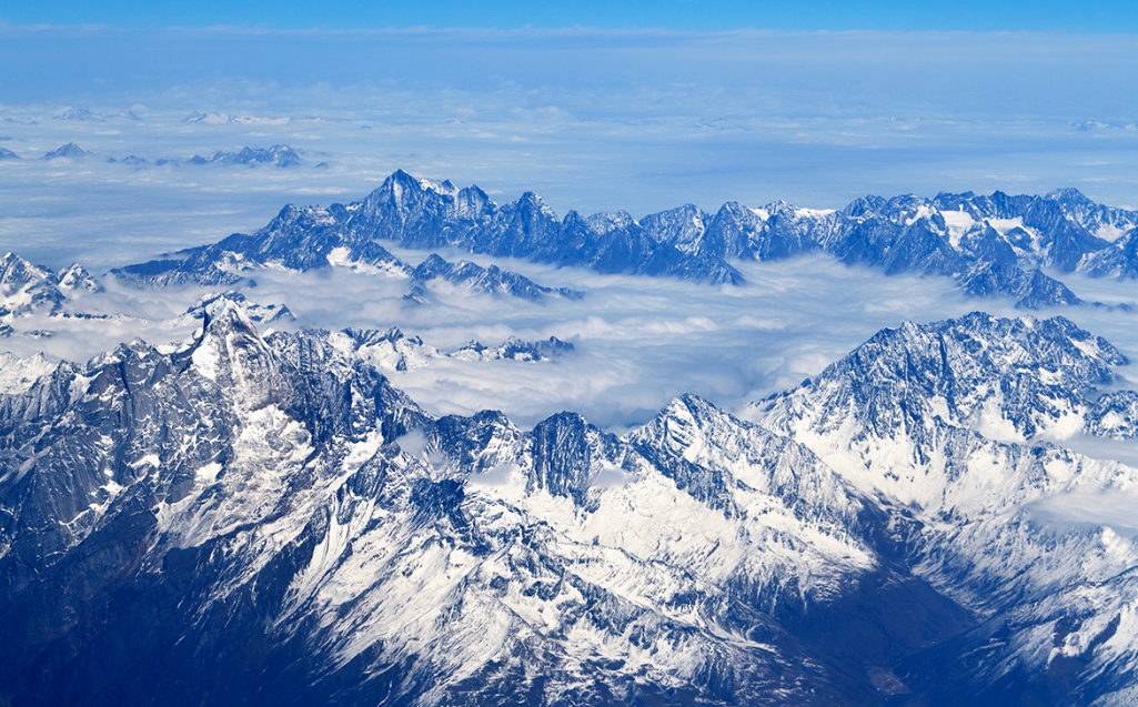 瓣齿鲨 科学家：地球在“大清洗”，人类自然真的能够和谐相处吗？