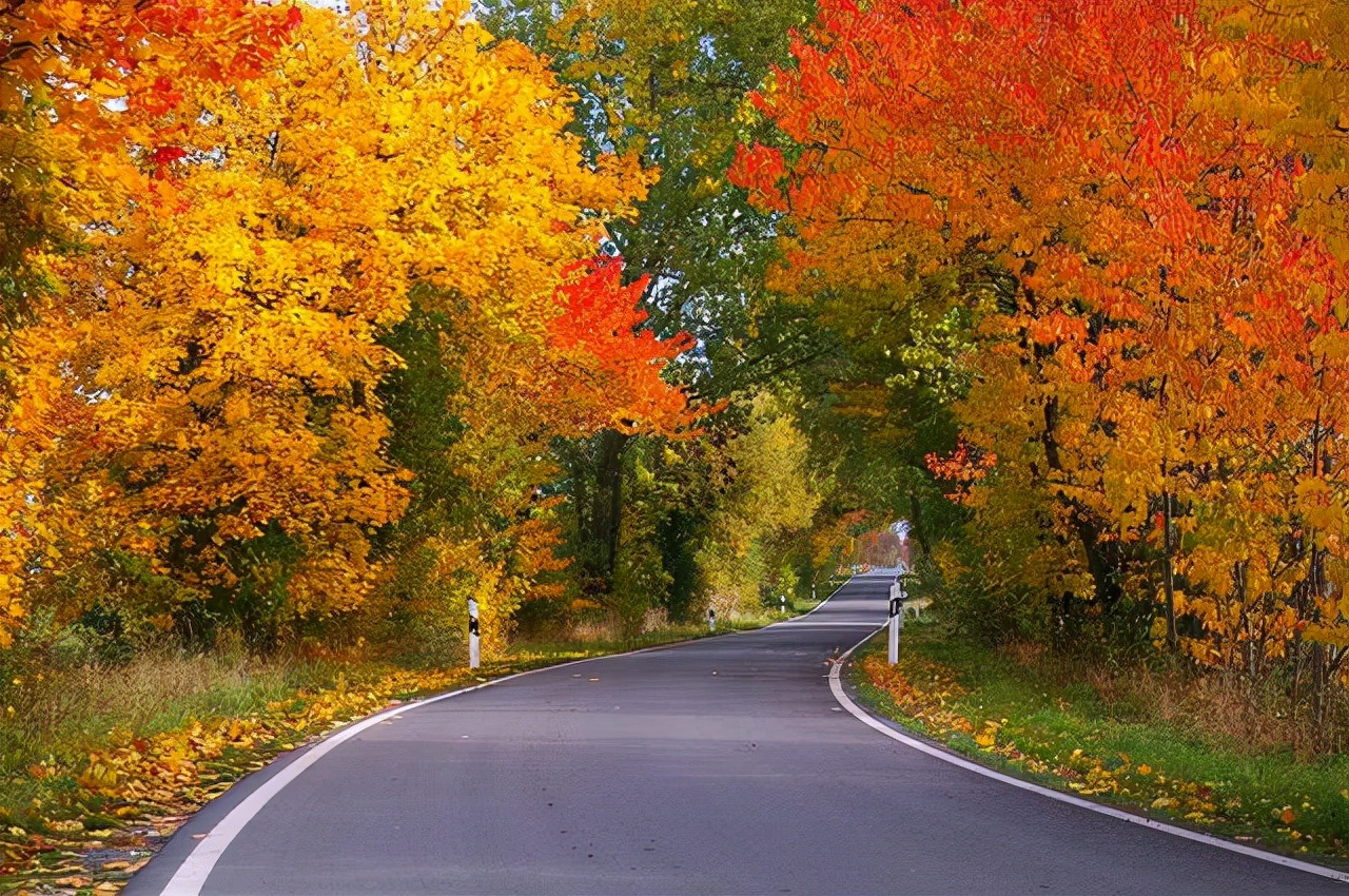 大肠腿在这里|修颗平居心，做个从容人，真好！