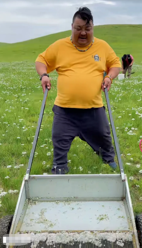 上气 恩克收韭菜花，说话上气不接下气？