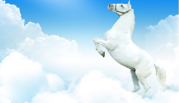 杨坤说生肖命理|婆媳矛盾多的生肖人