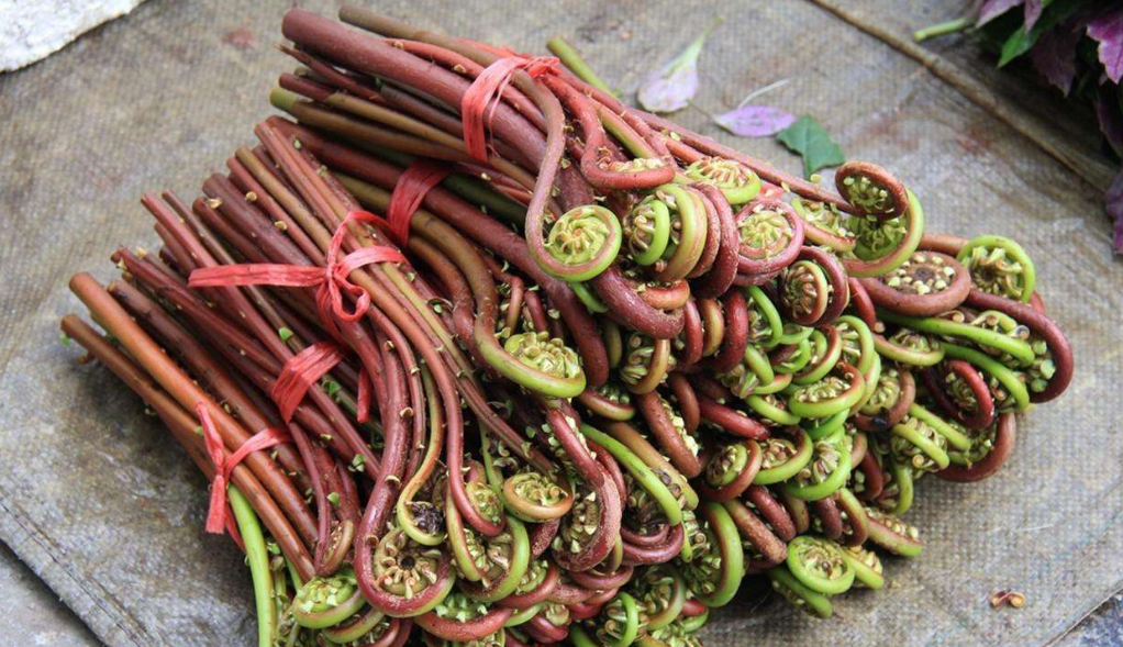 肝脏|吃西葫芦有损肝脏?院士:无知!不想肝脏“报废”,3种蔬菜最好别吃