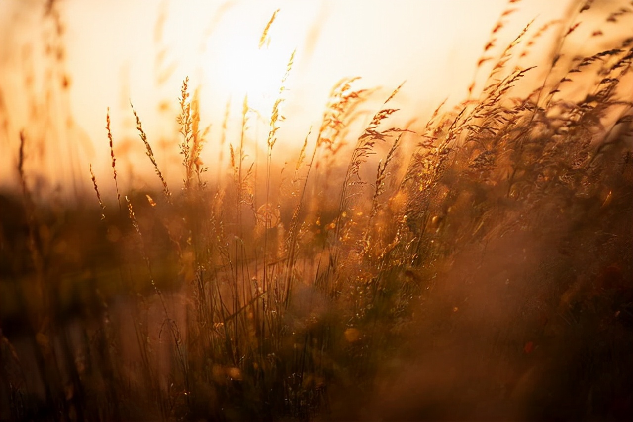 大肠腿在这里|人生不称心时，紧记三句话