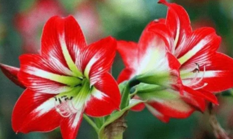 |八字看你，做什么职业，少走弯路