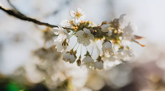 高血脂|中了5条以上,说明你身体很健康