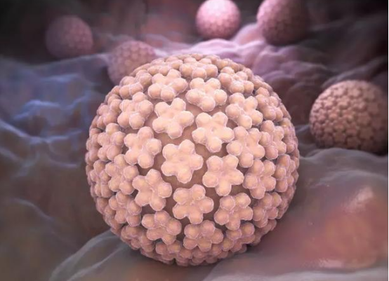 天天听健康|21岁大学生查出HPV，医生叹息：2种方式洗底裤，宫颈“扛不住”