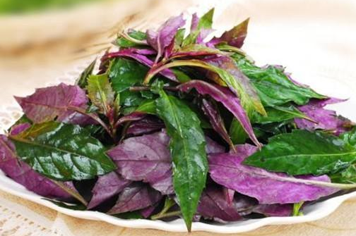 锁骨放硬币|肝不好的人能吃“大蒜”吗?专家:若想养肝,2种食物尽量别吃