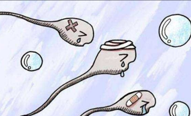 3物是冬季“养精宝”,男人不妨多吃,强精消炎,三年抱俩娃