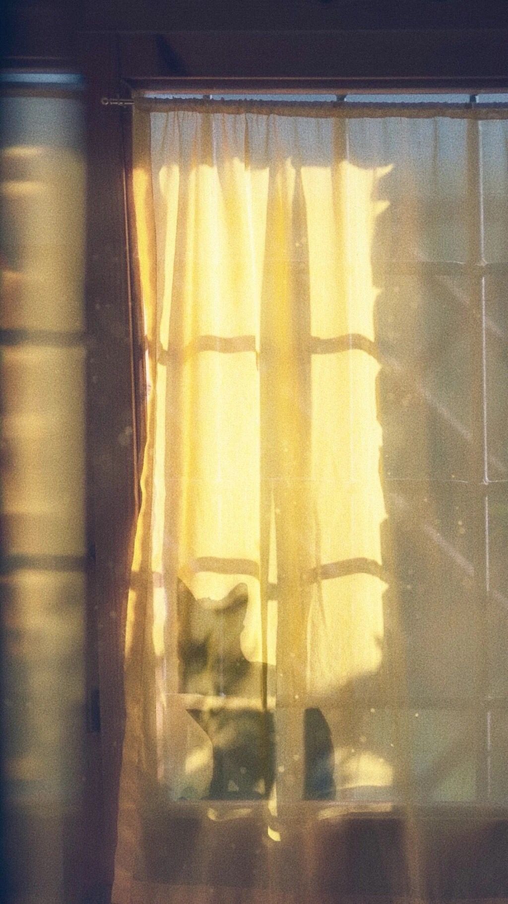 星座性格|职场中,从来不缺少能力的3个星座,底气也比较强