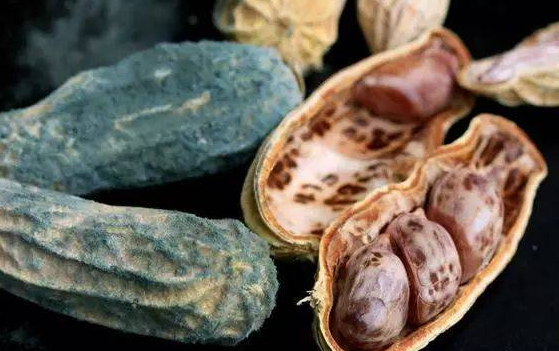 医线天|多名专家联合呼吁：损害“肝脏”的2物，尽量远离，肝好你更好！