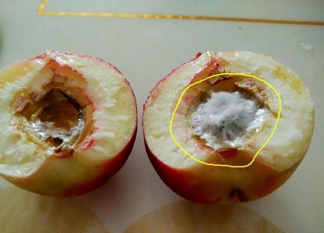 肝脏|卫生组织联合呼吁：尽量少吃2种水果，容易加速肝脏癌变，趁早扔