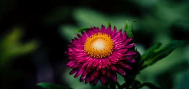 属马|6月，一厢情愿，就要愿赌服输，缘分已尽，旧情已碎，狠心分手