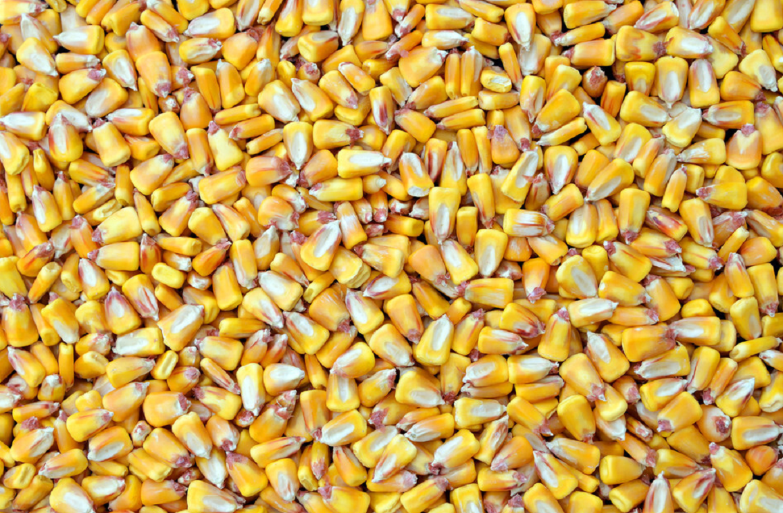 白发|男子甲状腺结节转癌，医生叹息：“1粗粮”比烟酒还伤甲状腺，怎能常吃