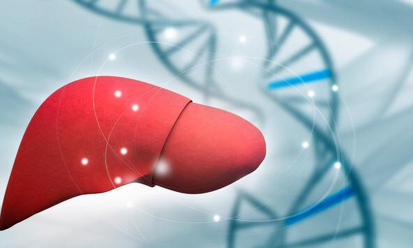 辣椒|肝癌的“源头”被发现,不是辣椒,远离3素食,肝脏或会感激你