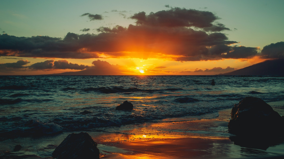  缺乏安全感是人类的本能