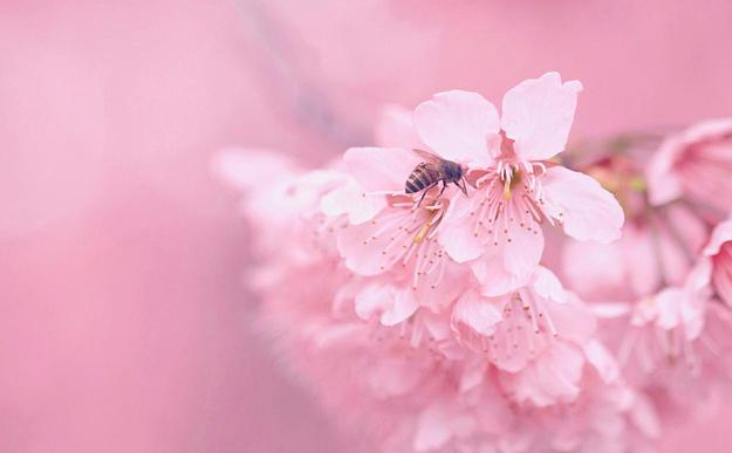 乐乐情感说 所谓：“聚光灯效应”，就是“人贵有自知之明”