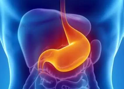 脾胃|消化内科专家:消食“冠军”是它,混着水一起吃,脾胃慢慢变强壮