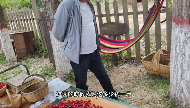 大众看点 西安市民白鹿原摘樱桃遭欺诈，出来被收30元进园费，游客：进去怎么不说？