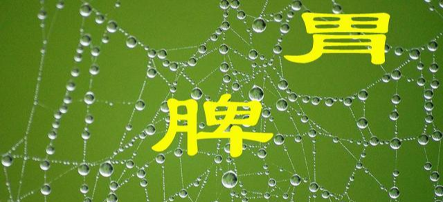 耳鸣|《黄帝内经》:“脾胃为后天之本”,一些常见的健脾生血方法