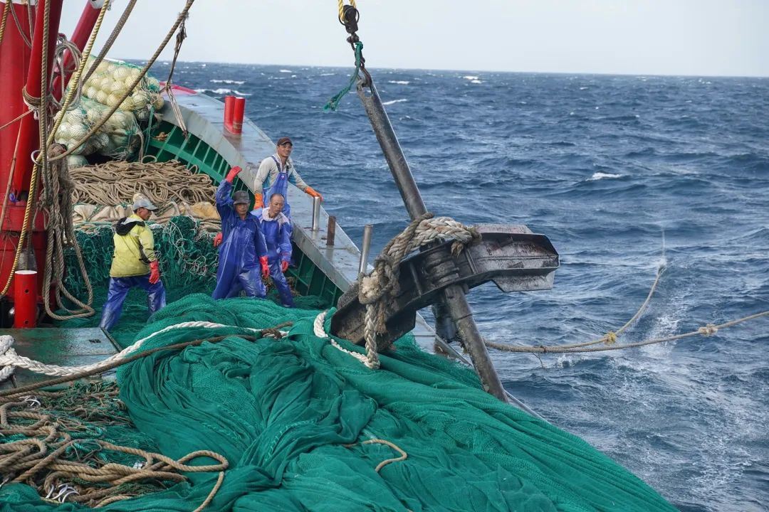 高血压|男子深夜腹痛，胃病离世，医生：吃一口等于8个塑料袋，早忌口