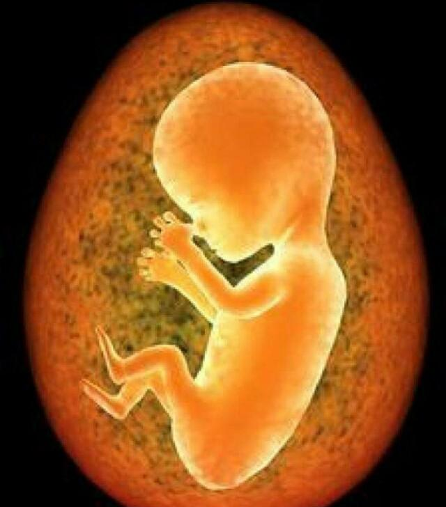 知否知否啊|小宝宝在妈妈肚子里倒着不会难受吗?