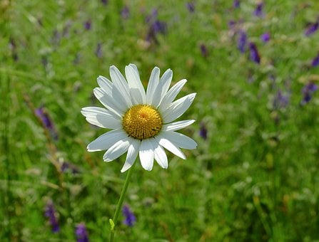 爱搞笑的小欧美|下个月,长路漫漫,水到渠成,没有结局,转角相遇,喜从天降