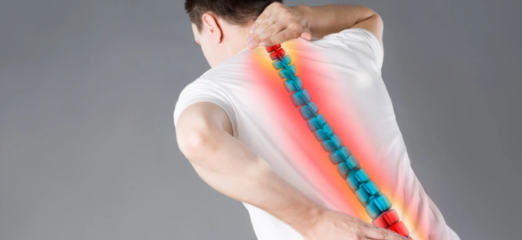 骨质疏松|养骨“高手”已找到，每天吃1口，骨密度蹭蹭长，骨骼堪称“铁骨”