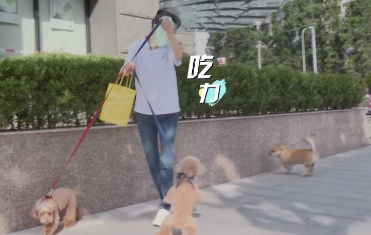 刘雪华|刘雪华的美是滤镜都打磨不出,临盆前被男友甩,不得已将子宫切除