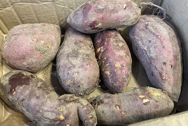 甲状腺结节|81岁退休院士：停止食用1种食物，它正在“偷偷毁掉”你的甲状腺