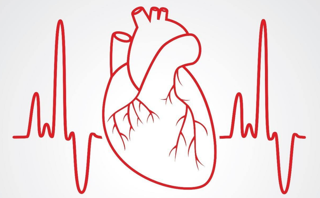 心肌梗塞|89岁老人无肉不欢，血管却依旧“通透”，医生直言：3种习惯值得借鉴