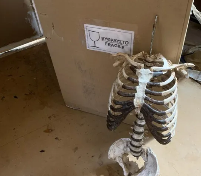 前方社会冲锋号 美国摇滚歌手用舅舅的尸骨做了把电吉他