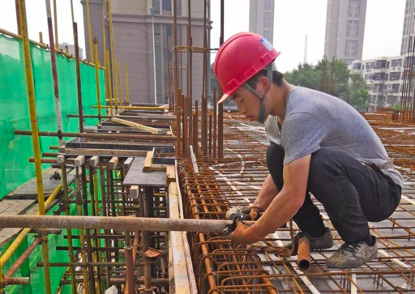 天天听健康 吃一口相当于10斤蜂蜜,中科院士:没事多吃2口,肺功能慢慢强壮