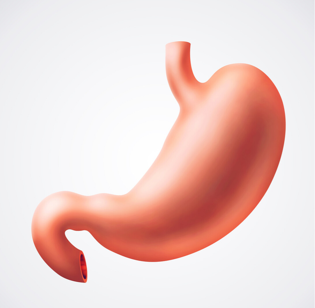 肠胃|多所高校联合呼吁停止食用，1物比辣椒还伤肠胃，赶快撤下餐桌