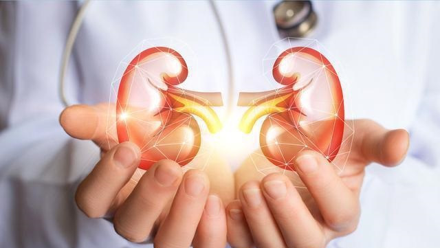 李东垣|认识方剂:李东垣创立的“补中益气汤”,有哪些配伍特点?