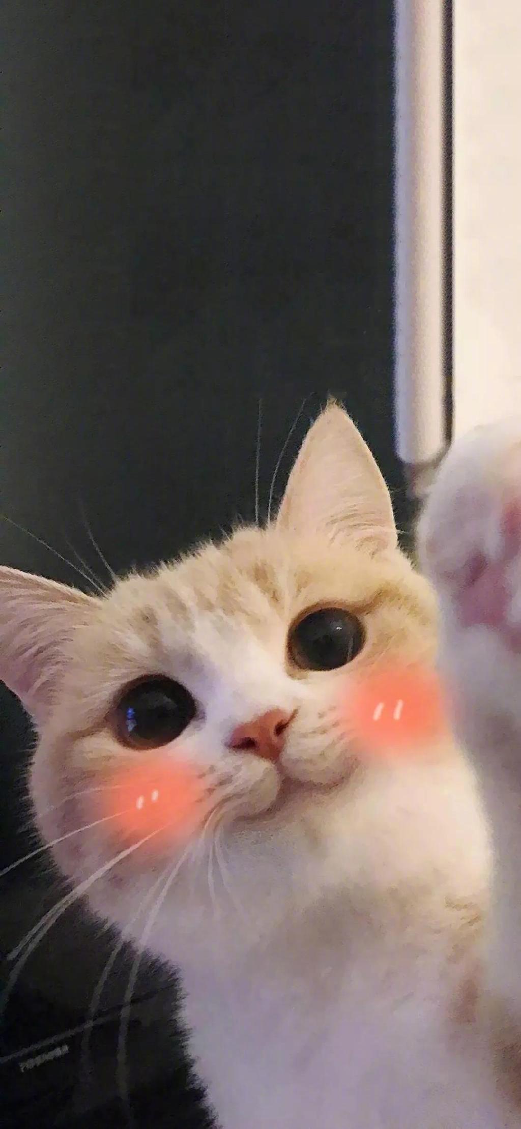 |12星座中,很容易在职场中拔得头筹的3个星座,向来实力超群