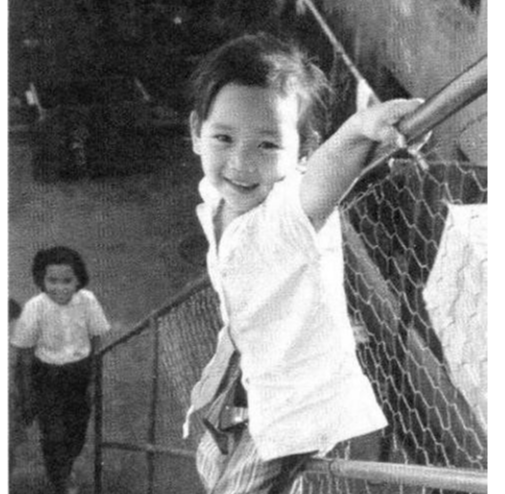 赵雅芝|女神赵雅芝：3个孩子2个爹，4个男人爱得死去活来，1个被逼出家