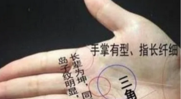 诚然情感之事|从手相看你的婚姻运势