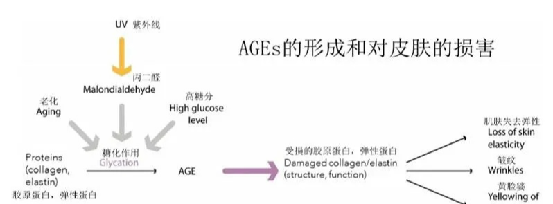 萌萌一笔|脸上长痘痘，真是糖吃多了吗？