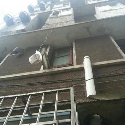  “北大石狮子被人偷袭砍成重伤！到底是何人所为？”