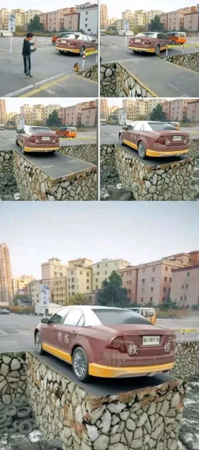 动物庄园|“教练说他的学员,都是一次过,看到现场我信了!”