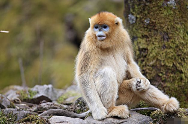 燃爱|属相猴人：只有以下2个人，才是能帮助你发财的贵人！