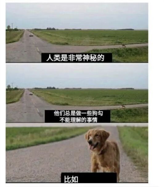 |为什么右边这个手机还能有颜色？