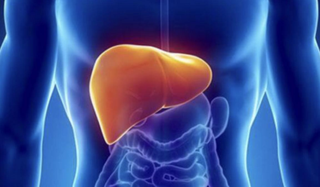 长寿|肝功能正常的人,身上会有3个“明显特征”,若占1个,也很不错