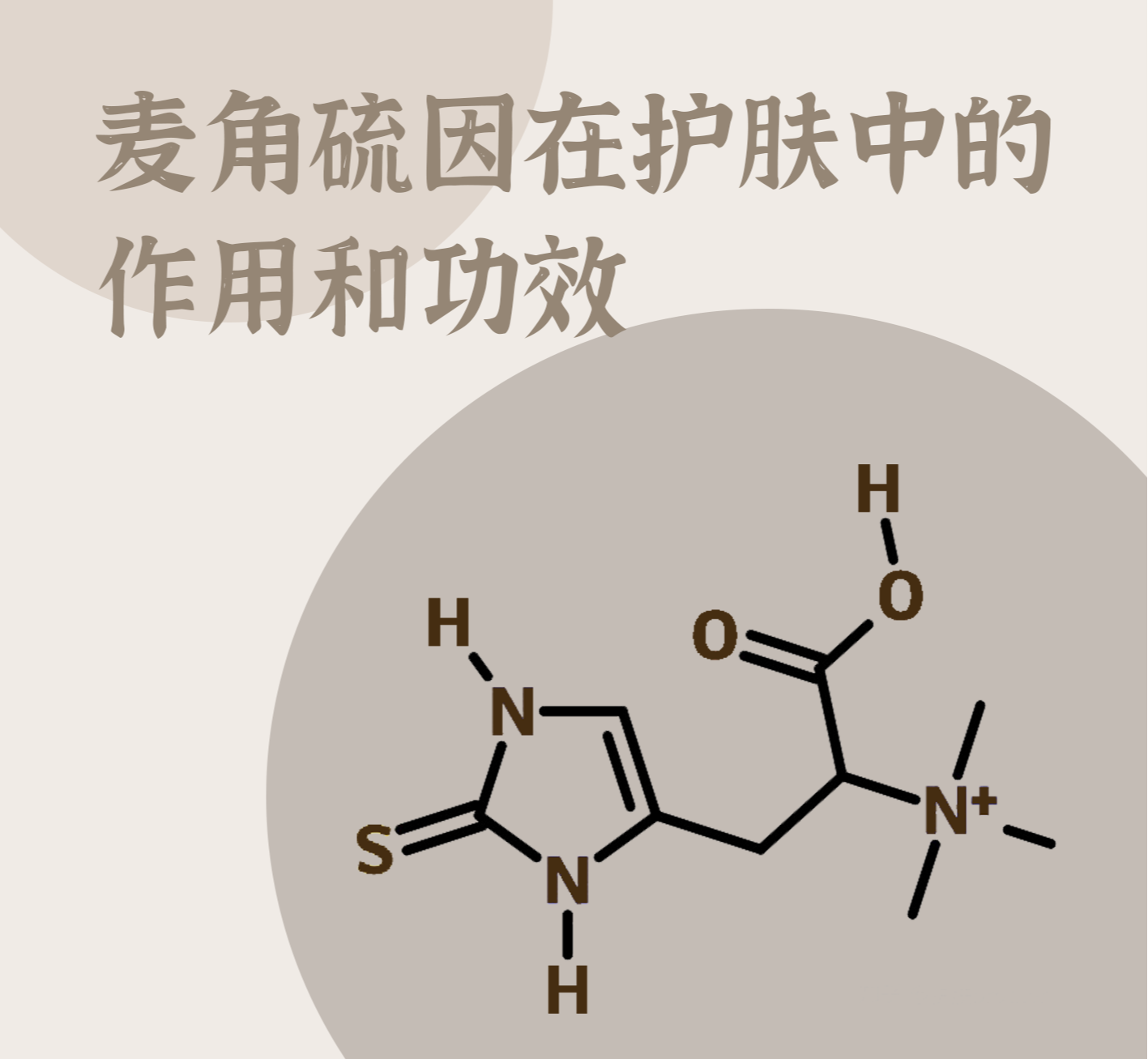 护肤 科普 | 护肤界的“明星”——麦角硫因到底是什么？