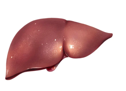 肝纤维化|枸杞的“黄金搭档”找到了，平时泡水喝，冲走肝毒，肝一天天变强