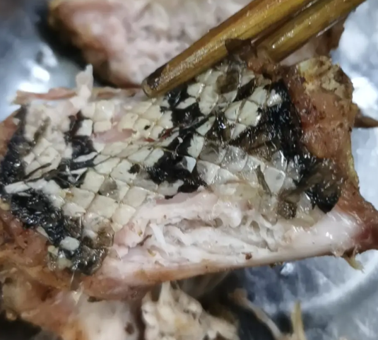 |“我爸说这是龙肉，我不信”哈哈哈哈真香