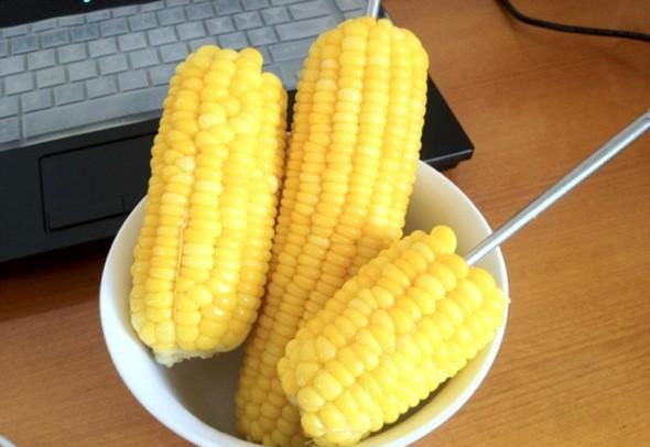 鲤鱼|怎样用玉米面钓鲤鱼?