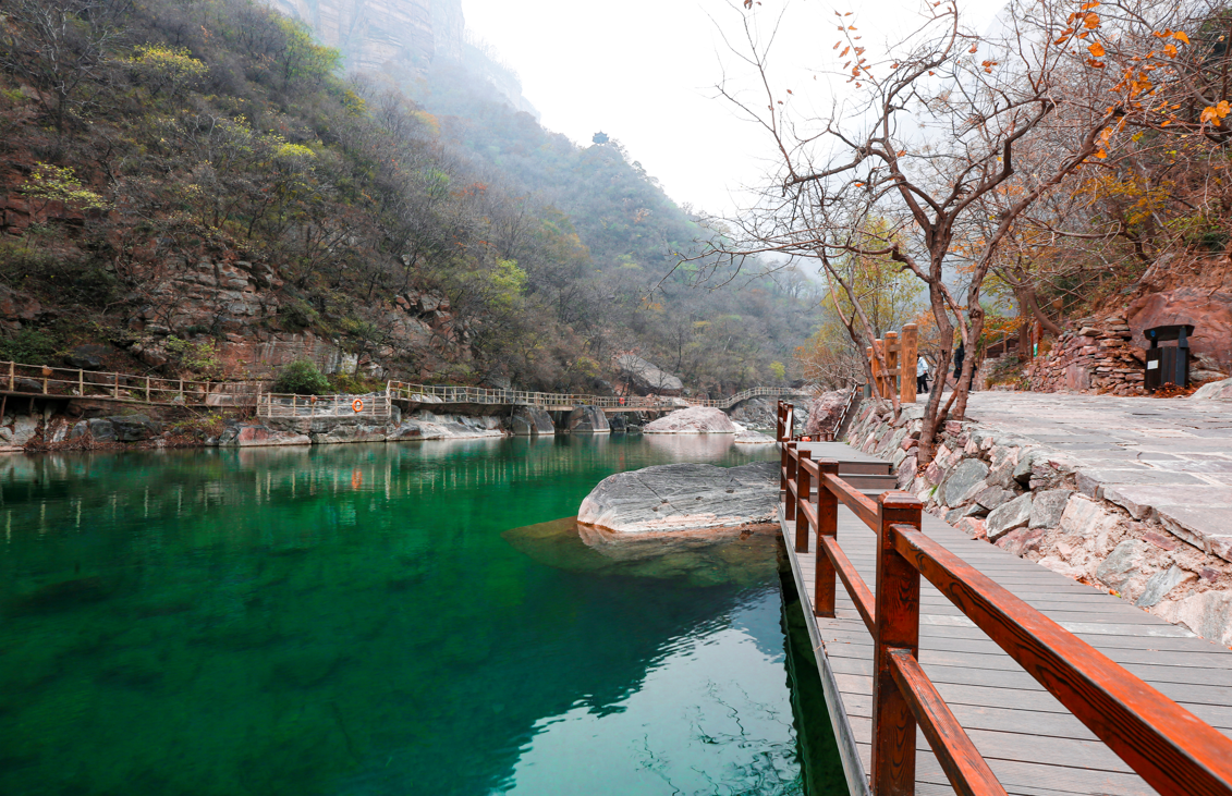 |满目皆欢喜，送你一卷初冬画册