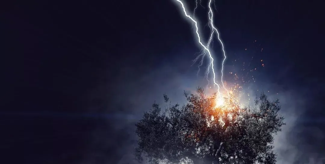 净利润 最大的雷!11股披露重大利空公告,一股或终止上市!