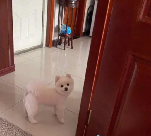 |把自己嫁出去了还不开心吗？这不科学啊，难不成你这是被逼婚的？