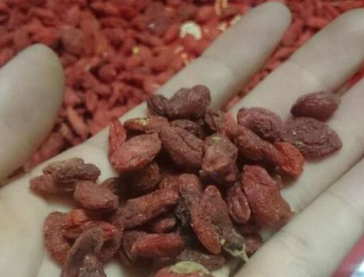 苹果|甲状腺癌的“克星”已找到，不是枸杞，医生：放心吃甲状腺会感谢你